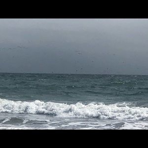 Meet your Posher, Marta